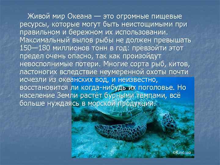 Живое сообщение. Пищевые ресурсы океана. Ресурсы мирового океана кладовая богатств. Живой мир океана. Живой мир океана сообщение.