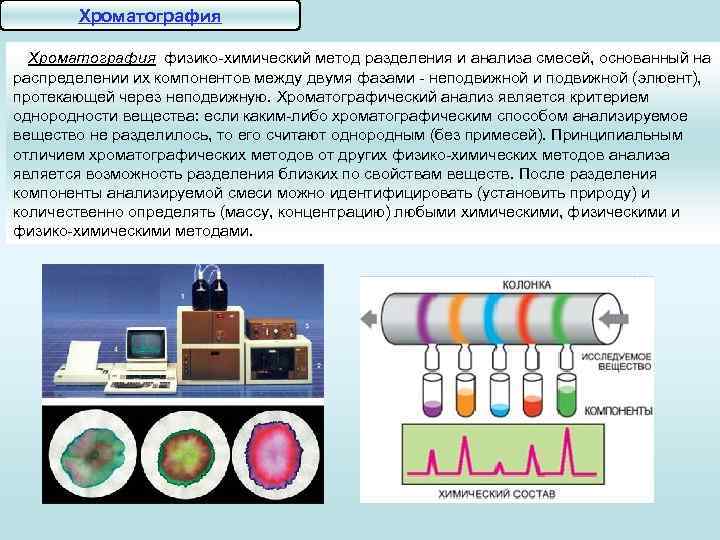 Проект на тему роль биологических исследований в современной медицине