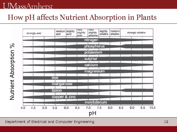 Nutrient Absorption % How p. H affects Nutrient Absorption in Plants p. H Department