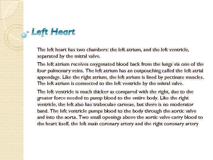 The left heart has two chambers: the left atrium, and the left ventricle, separated