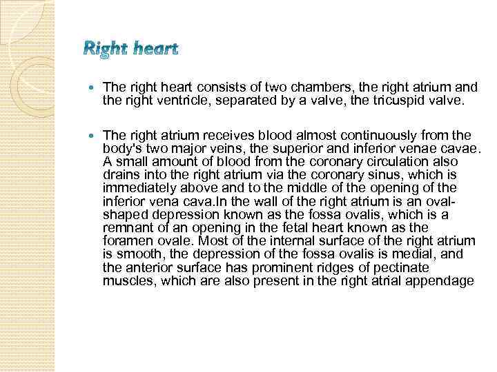  The right heart consists of two chambers, the right atrium and the right