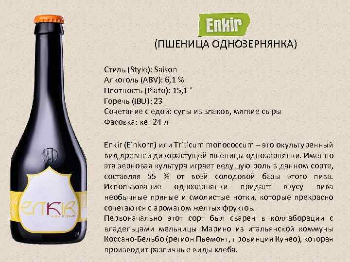 (ПШЕНИЦА ОДНОЗЕРНЯНКА) Стиль (Style): Saison Алкоголь (ABV): 6, 1 % Плотность (Plato): 15, 1