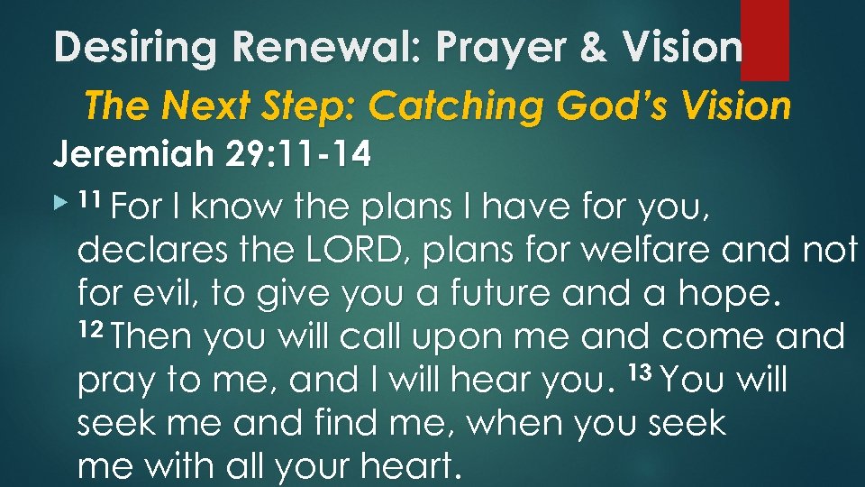 Desiring Renewal: Prayer & Vision The Next Step: Catching God’s Vision Jeremiah 29: 11
