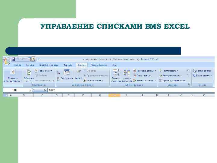 УПРАВЛЕНИЕ СПИСКАМИ ВMS EXCEL 