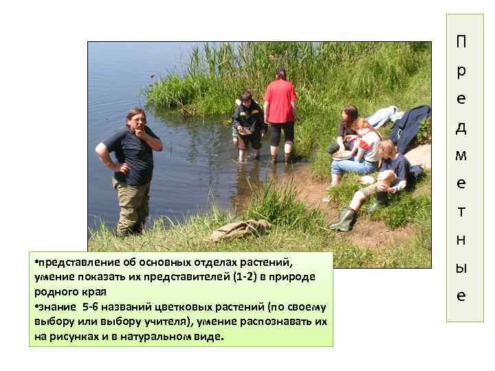  • представление об основных отделах растений, умение показать их представителей (1 -2) в