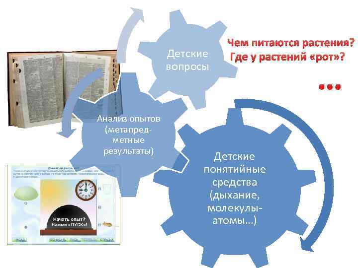 Детские вопросы Анализ опытов (метапредметные результаты) Чем питаются растения? Где у растений «рот» ?