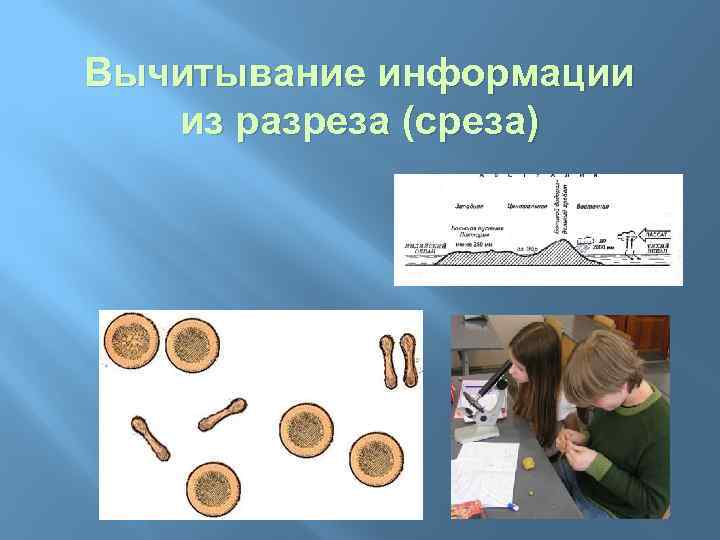 Вычитывание информации из разреза (среза) 