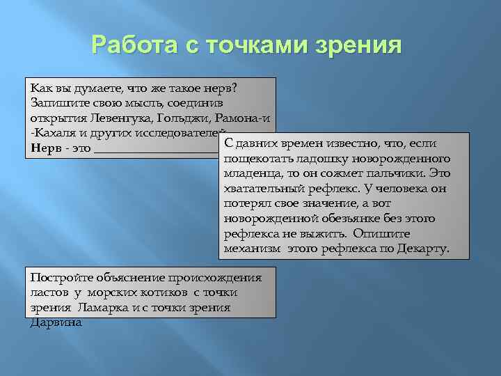 Работа с точками зрения Как вы думаете, что же такое нерв? Запишите свою мысль,