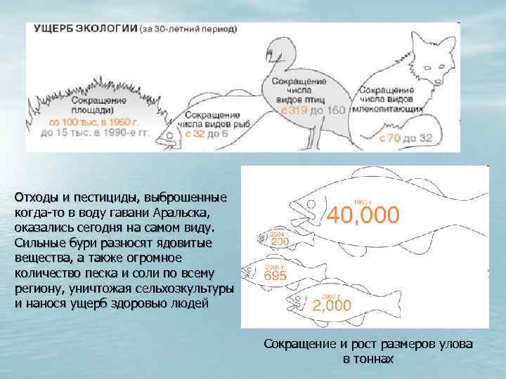 Отходы и пестициды, выброшенные когда-то в воду гавани Аральска, оказались сегодня на самом виду.