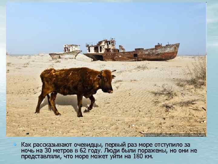  • Как рассказывают очевидцы, первый раз море отступило за ночь на 30 метров
