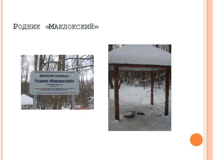 РОДНИК « АКЛОКСКИЙ» М 