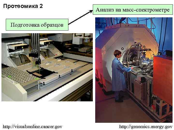 Протеомика 2 Анализ на масс-спектрометре Подготовка образцов http: //visualsonline. cancer. gov http: //genomics. energy.