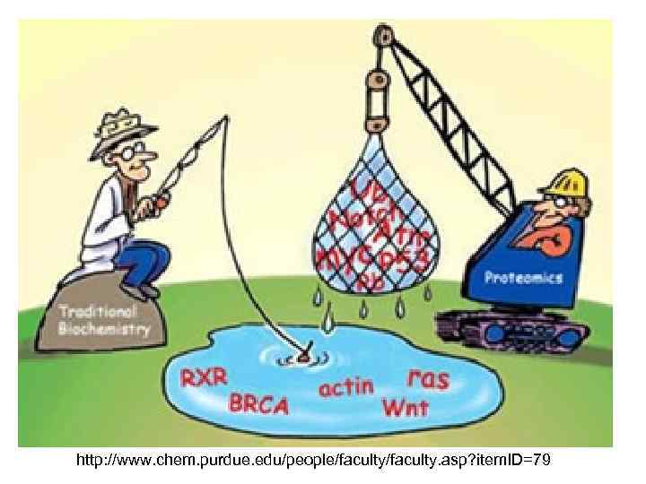 http: //www. chem. purdue. edu/people/faculty. asp? item. ID=79 