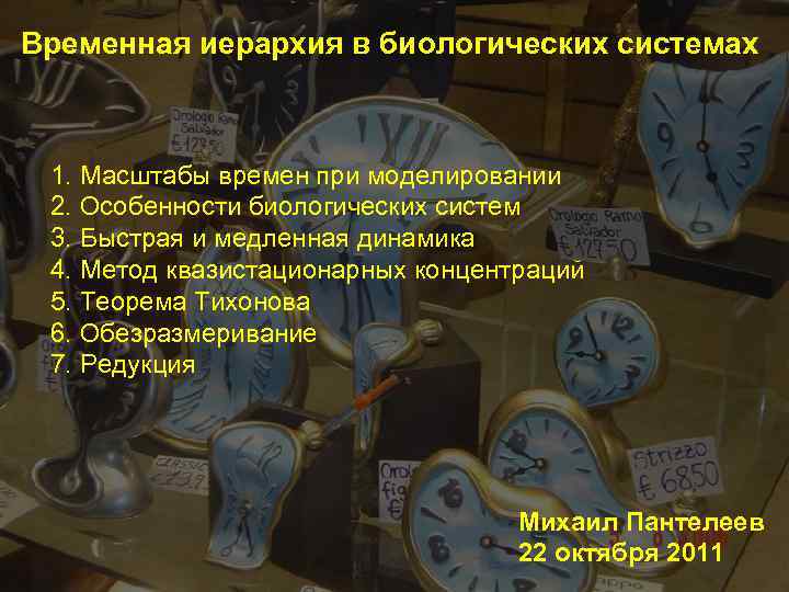 Временная иерархия в биологических системах 1. Масштабы времен при моделировании 2. Особенности биологических систем