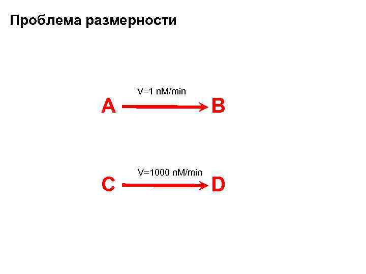 Проблема размерности A С V=1 n. M/min V=1000 n. M/min B D 