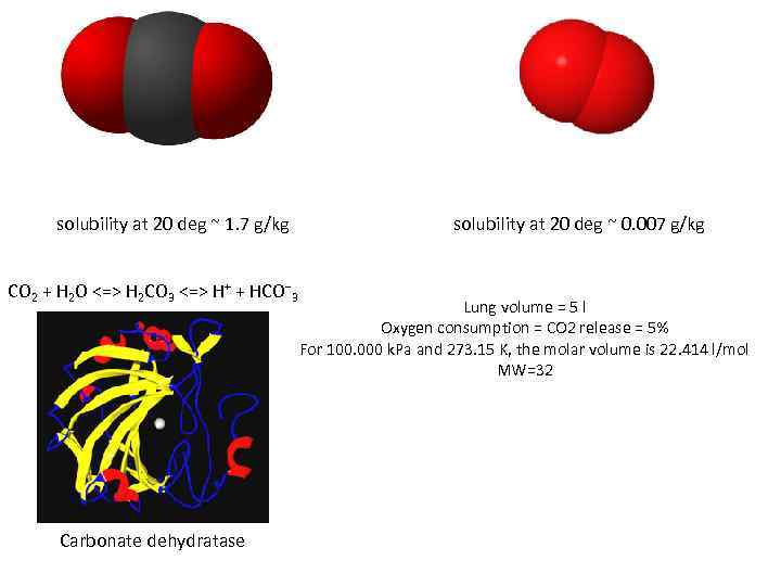 solubility at 20 deg ~ 1. 7 g/kg CO 2 + H 2 O