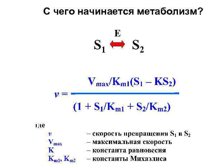 С чего начинается метаболизм? S 1 E S 2 