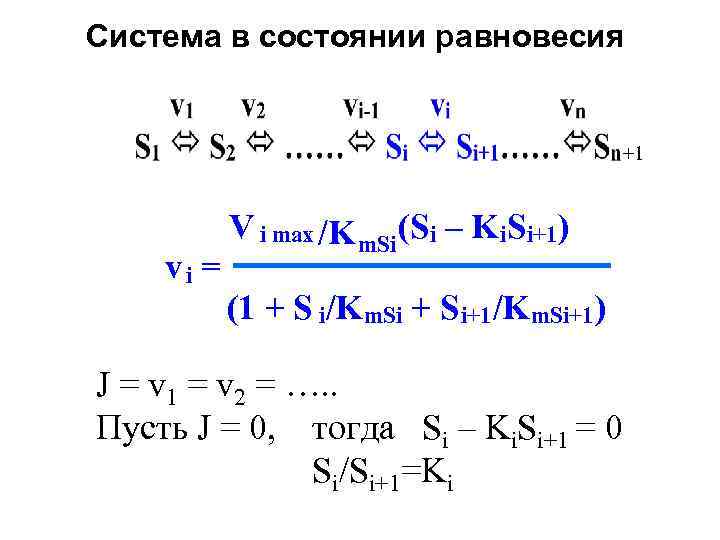 Система в состоянии равновесия +1 V i max /K m. Si (Si – K
