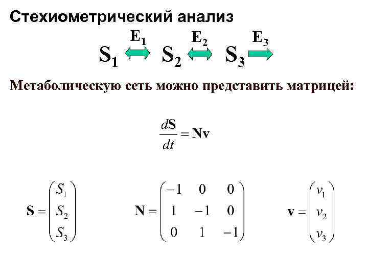 Стехиометрический анализ E 1 E 2 S 1 S 2 S 3 E 3