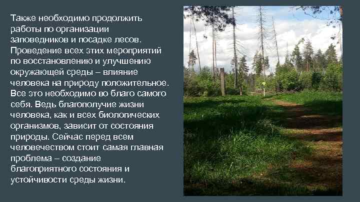 Также необходимо продолжить работы по организации заповедников и посадке лесов. Проведение всех этих мероприятий