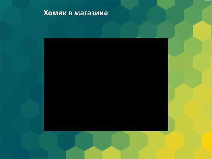 Хомяк в магазине 