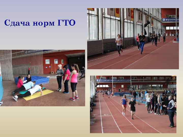 Cдача норм ГТО 