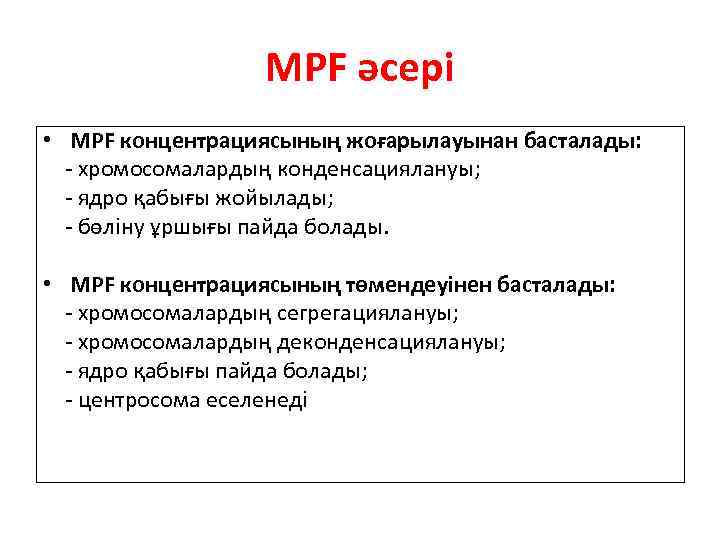MPF әсері • MPF концентрациясының жоғарылауынан басталады: - хромосомалардың конденсациялануы; - ядро қабығы жойылады;