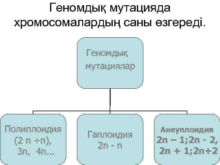 Геномдық мутацияда хромосомалардың саны өзгереді. Геномдық мутациялар Полиплоидия (2 n +n), 3 n, 4