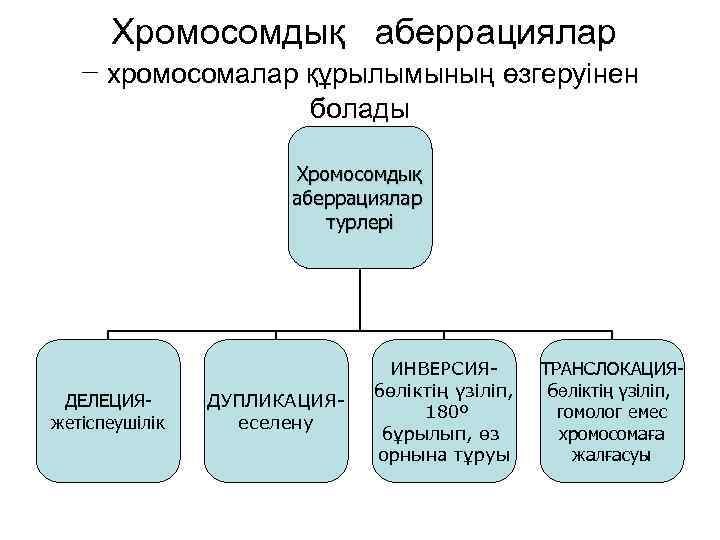 Хромосомдық аберрациялар − хромосомалар құрылымының өзгеруінен болады Хромосомдық аберрациялар турлері ДЕЛЕЦИЯжетіспеушілік ДУПЛИКАЦИЯеселену ИНВЕРСИЯбөліктің үзіліп,