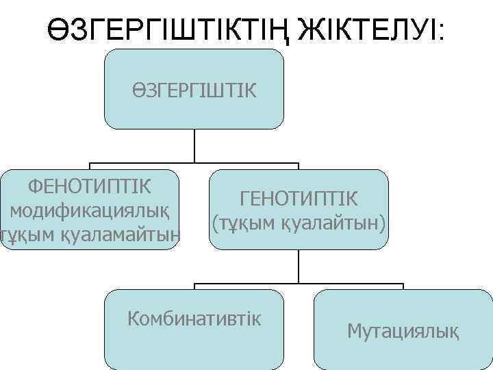 Эволюциялық үдерістегі өзгергіштіктің рөлі презентация