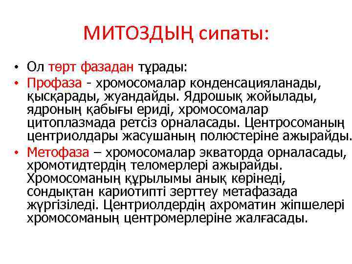 МИТОЗДЫҢ сипаты: • Ол төрт фазадан тұрады: • Профаза - хромосомалар конденсацияланады, қысқарады, жуандайды.