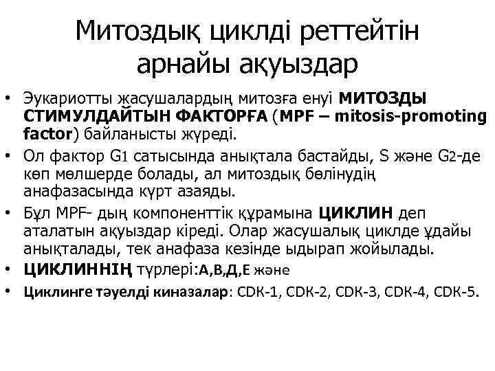 Митоздық циклді реттейтін арнайы ақуыздар • Эукариотты жасушалардың митозға енуі МИТОЗДЫ СТИМУЛДАЙТЫН ФАКТОРҒА (МРF