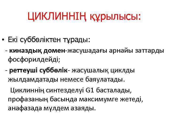 ЦИКЛИННІҢ құрылысы: • Екі суббөліктен тұрады: - киназдық домен-жасушадағы арнайы заттарды фосфорилдейді; - реттеуші