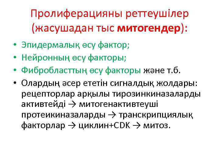 Пролиферацияны реттеушілер (жасушадан тыс митогендер): • • Эпидермалық өсу фактор; Нейронның өсу факторы; Фибробласттың