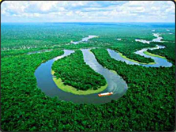 Амазонская низменность - самая большая низменность на Земле, S > 5 млн. км². 