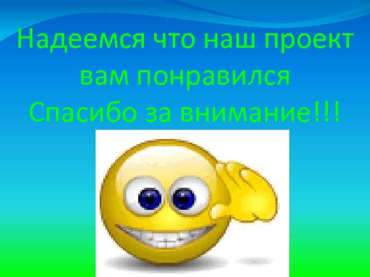 Надеемся что наш проект вам понравился Спасибо за внимание!!! 