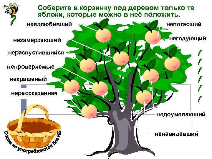 Соберите в корзинку под деревом только те яблоки, которые можно в неё положить. невзлюбивший