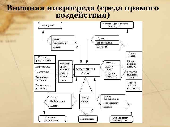 Внешняя микросреда (среда прямого воздействия) 