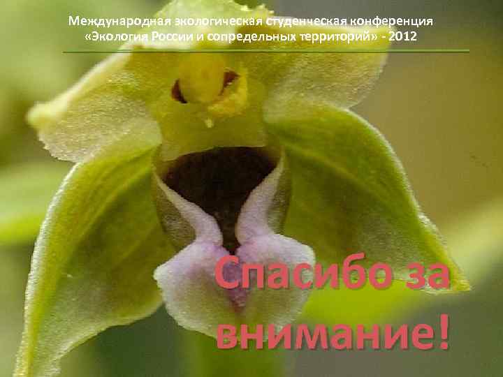 Международная экологическая студенческая конференция «Экология России и сопредельных территорий» - 2012 Спасибо за внимание!