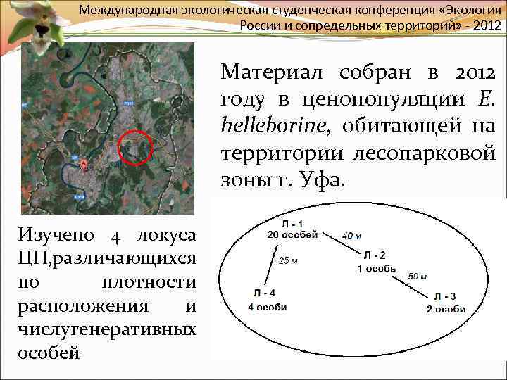 Международная экологическая студенческая конференция «Экология России и сопредельных территорий» - 2012 Материал собран в
