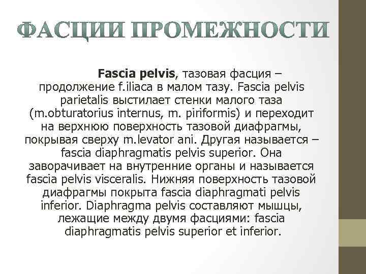 Fascia pelvis, тазовая фасция – продолжение f. iliaca в малом тазу. Fascia pelvis parietalis