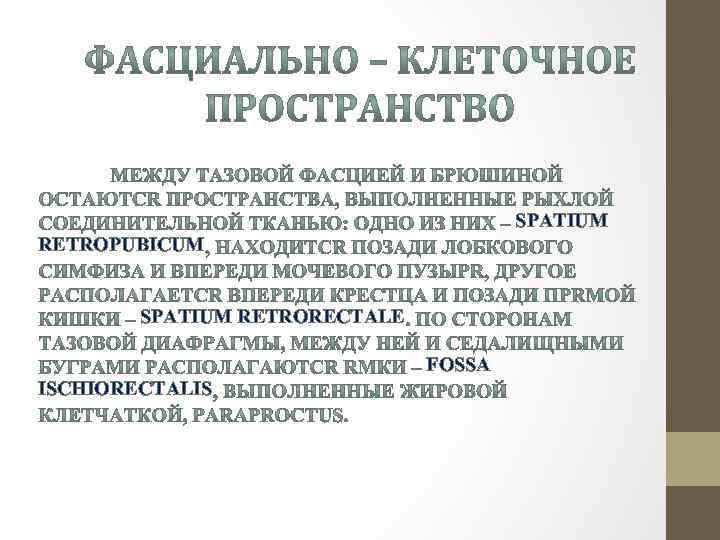 SPATIUM RETROPUBICUM SPATIUM RETRORECTALE FOSSA ISCHIORECTALIS 