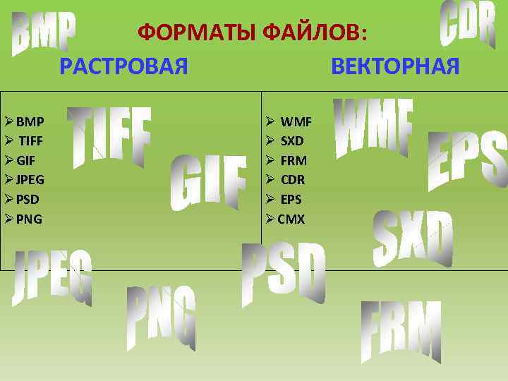 ФОРМАТЫ ФАЙЛОВ: РАСТРОВАЯ ВЕКТОРНАЯ Ø ВМР Ø TIFF Ø GIF Ø JPEG Ø PSD