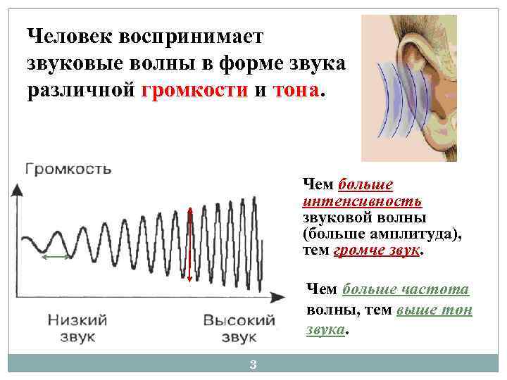 Человек воспринимает звуковые волны в форме звука различной громкости и тона Чем больше интенсивность