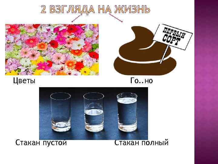 Цветы Стакан пустой Го. . но Стакан полный 