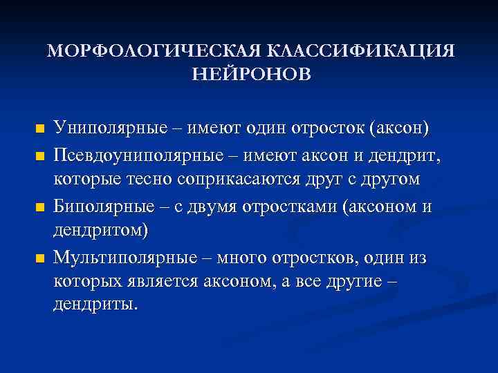 МОРФОЛОГИЧЕСКАЯ КЛАССИФИКАЦИЯ НЕЙРОНОВ n n Униполярные – имеют один отросток (аксон) Псевдоуниполярные – имеют