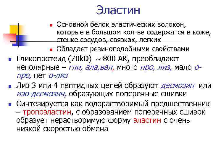 Эластин n n n Основной белок эластических волокон, которые в большом кол-ве содержатся в