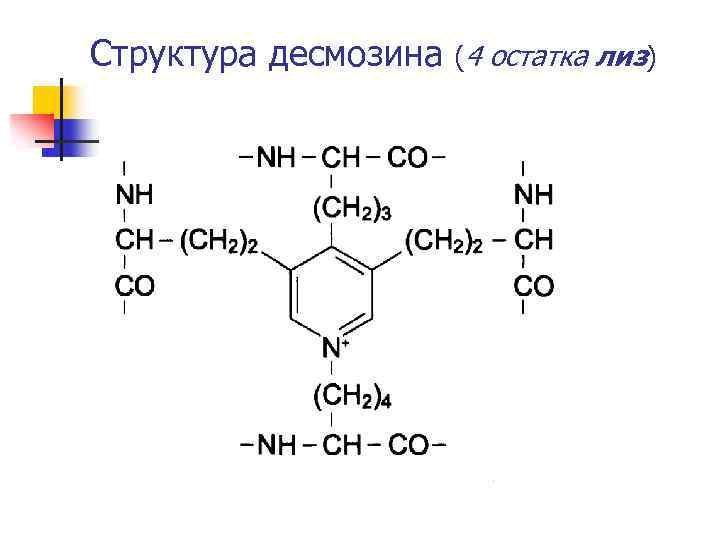 Структура десмозина (4 остатка лиз) 