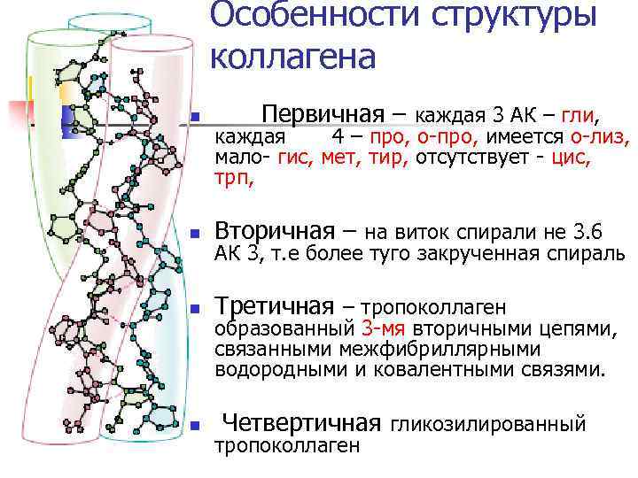 Особенности структуры коллагена n Первичная – каждая 3 АК – гли, каждая 4 –