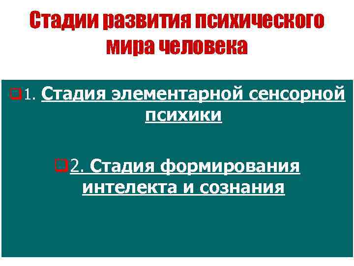 Стадии развития психического мира человека q 1. Стадия элементарной сенсорной психики q 2. Стадия